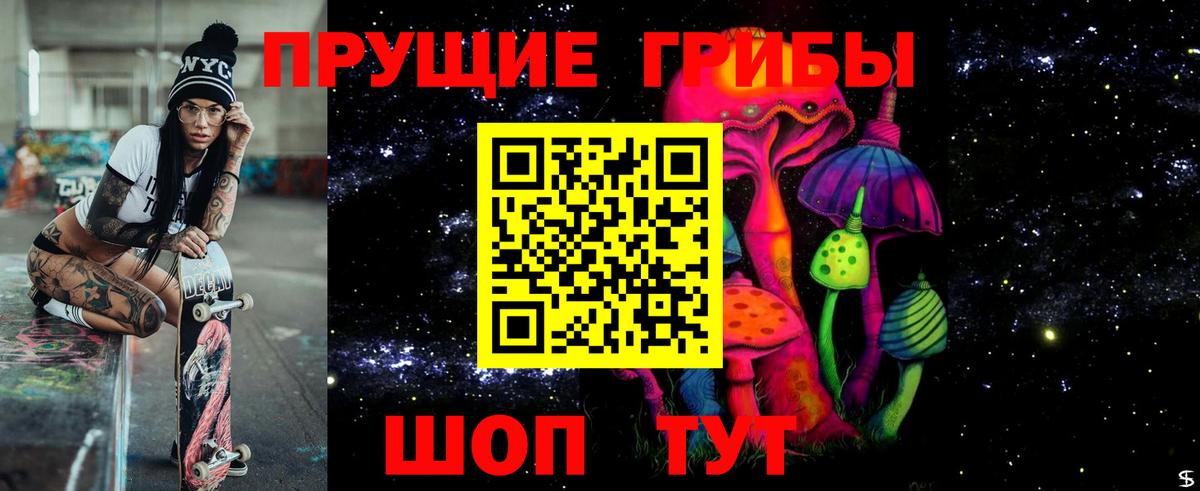 Жигулёвск  Псилоцибиновые грибы мицелий  Вход с VPN 