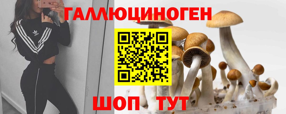 Галлюциногенные грибы MAGIC MUSHROOMS Жигулёвск